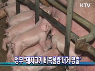 정부 "돼지고기 비축물량 대거 방출"