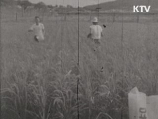 농진청 50년 '농업을 신성장동력으로'