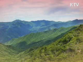 등산 [경제타임머신]