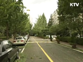 태풍보다 빠른 SNS "피해 줄였다"