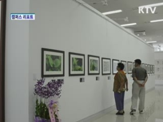 독도의 자연전 [캠퍼스 리포트]