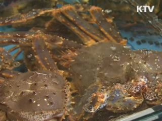 '노량진 수산시장 현대화' 다음달 착공