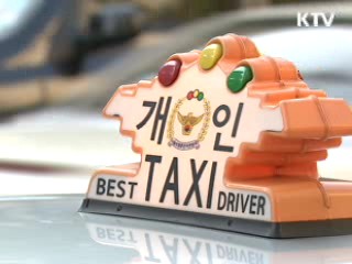 정부, '택시법' 거부권 검토 본격 착수