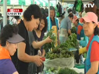 과천 직거래 장터 '북적' [국민리포트]