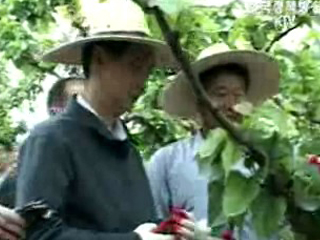 농업농촌 민생현장 방문