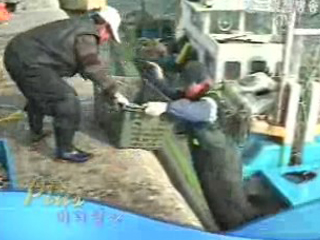 플러스 바다영상