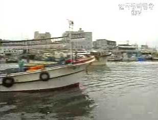 2톤미만 어선 전화 인터넷으로 출입항신고 가능