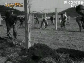 일하는 농촌('71)