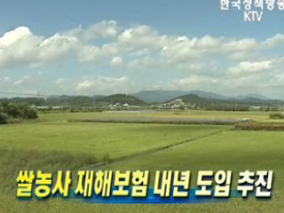 쌀농사 재해보험 내년 도입 추진