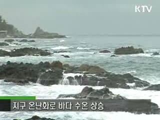 바다 생태계가 바뀌고 있다