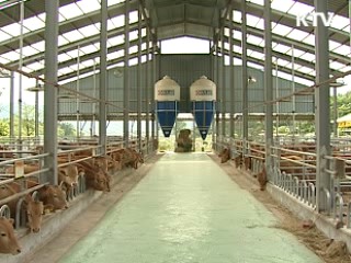 쇠고기 이력제, 1조365억원 사회적 이익