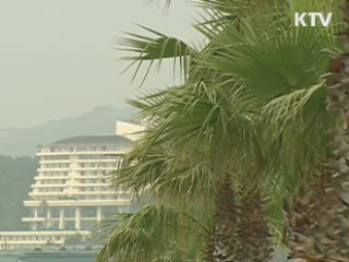 전남발-제주행 뱃길 '지역경제 효자'