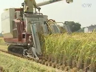 쌀 변동직불금 80kg당 1만5천588원