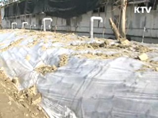 구제역 가축 비매몰 방식 처리 시범 도입