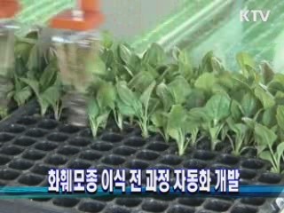 화훼모종 이식 전 과정 자동화 개발