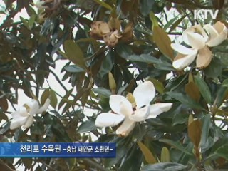 '수목원' '기암절벽' '맛' 찾아 태안으로 오세요 [캠퍼스 리포트]