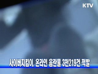 사이버지킴이, 온라인 음란물 3천219건 적발