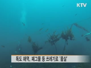 독도 주변 쓰레기 30톤···'수중 대청소'