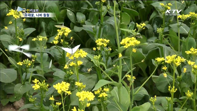 철따라 변신하는 한강시민공원