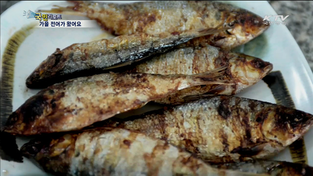 서천전어축제, 가을의 별미 맛보세요