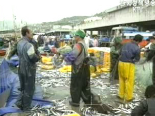 참조기 등 수산자원 회복 본격 추진
