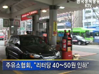 주유소 혼합판매 허용, 가격 인하 유도