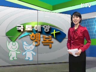 설 특별교통대책 발표