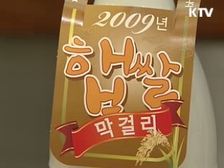 서민의 벗, 막걸리! 세계를 겨냥하다 [이슈&트렌드]