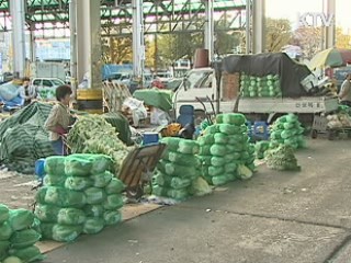 배추값 포기당 5천원대까지 하락