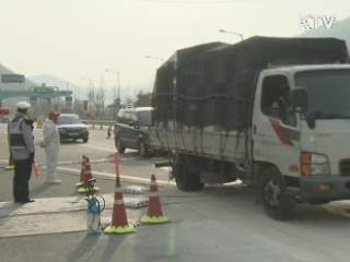 인천 강화서도 구제역 발생…4개 시도 확산