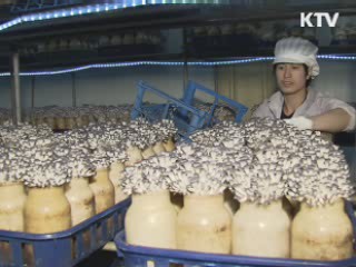 동·서해안권 발전 50조원 집중 투자