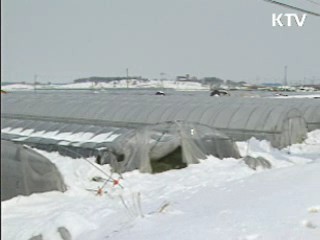 내년 농업경영회생자금 600억원 지원