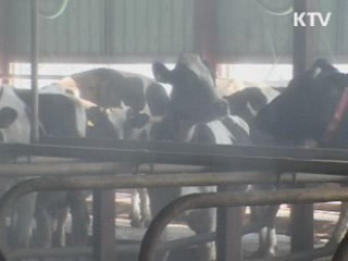 이 대통령 "한파, 서민생활 지장 없도록 살펴야"