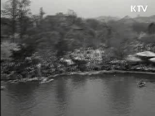 정책 오늘 (131회)