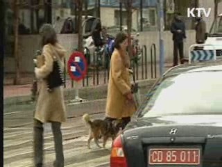 S&P, 스페인 신용등급 2단계 강등