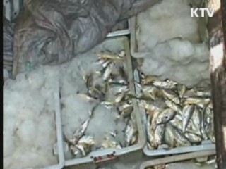 '불법조업' 중국 선원 흉기에 4명 부상