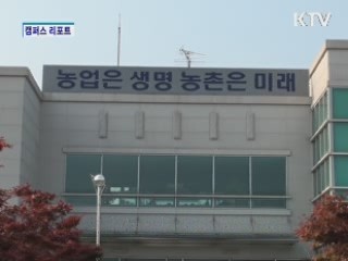 신품종 개발, 농가 로열티 부담 덜어 [캠퍼스 리포트]