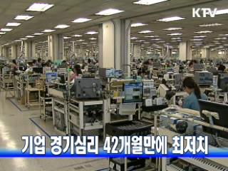 기업 경기심리 42개월만에 최저치