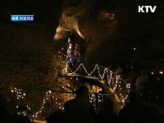 임신한 영국 왕세손비 인형 등장