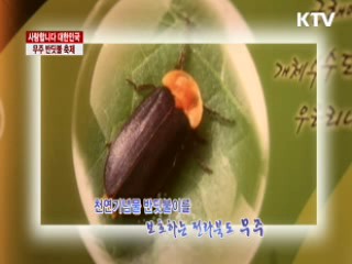 무주 반딧불 축제 [사랑합니다 대한민국]