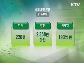 삼척·동해까지 '적조 확산'