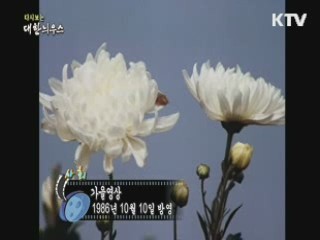 다시보는 대한늬우스 (86.10.10)