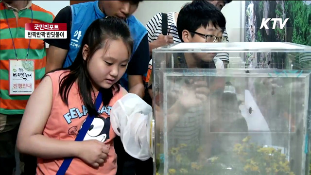 무주 반딧불이…생태·환경축제로 거듭나 [국민리포트]