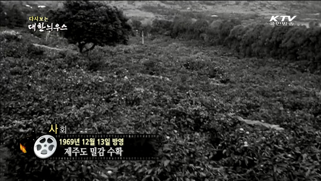 다시보는 대한늬우스 (69.12.13)