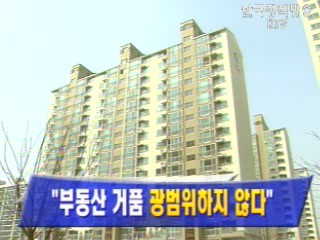 `부동산 거품 광범위하지 않다`