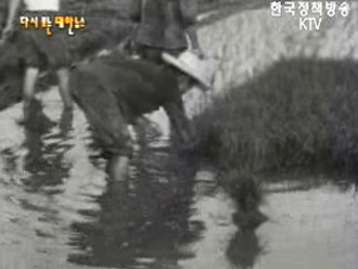 풍년을 바라며(`64)