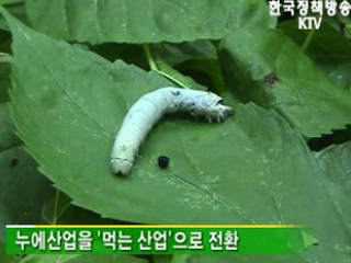 부안, 발상의 전환으로 제2 전성기