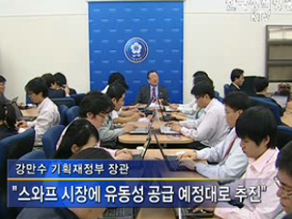 강장관, 외환 현물시장에도 보유액 투입