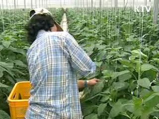 친환경 농산물 첫 10%대...지원 박차