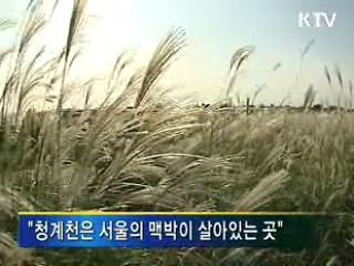 미국 공영방송 PBS, 한국 '녹색성장' 특집 방영